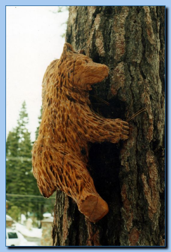 2-41 bears attached to tree-archive-0001